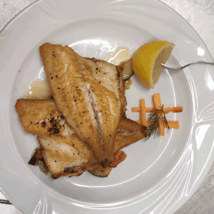 Pesce Steinbutt